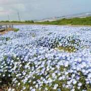 ヒメ日記 2025/04/24 15:38 投稿 太田　ゆり 昼下がりの情事