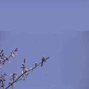 ヒメ日記 2025/04/29 11:49 投稿 太田　ゆり 昼下がりの情事