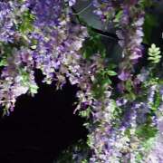 ヒメ日記 2025/05/06 14:05 投稿 太田　ゆり 昼下がりの情事