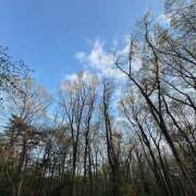 ヒメ日記 2025/05/24 11:48 投稿 太田　ゆり 昼下がりの情事