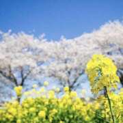 ヒメ日記 2025/05/28 11:24 投稿 太田　ゆり 昼下がりの情事