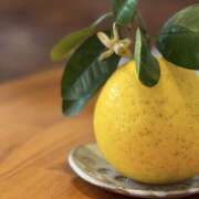 ヒメ日記 2025/06/01 12:40 投稿 太田　ゆり 昼下がりの情事