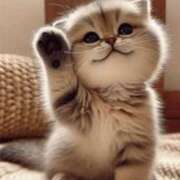 ヒメ日記 2025/06/21 16:01 投稿 太田　ゆり 昼下がりの情事