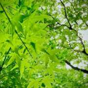 ヒメ日記 2025/06/27 13:47 投稿 太田　ゆり 昼下がりの情事