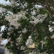 ヒメ日記 2025/07/18 13:55 投稿 太田　ゆり 昼下がりの情事