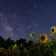 ヒメ日記 2025/08/11 19:37 投稿 太田　ゆり 昼下がりの情事