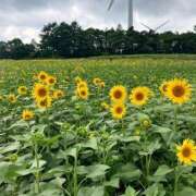 ヒメ日記 2025/08/22 12:17 投稿 太田　ゆり 昼下がりの情事