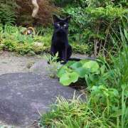 ヒメ日記 2025/09/04 10:25 投稿 太田　ゆり 昼下がりの情事