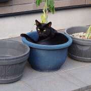 ヒメ日記 2025/09/05 22:06 投稿 太田　ゆり 昼下がりの情事