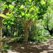 ヒメ日記 2025/09/07 12:20 投稿 太田　ゆり 昼下がりの情事