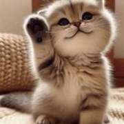 ヒメ日記 2025/11/18 12:18 投稿 太田　ゆり 昼下がりの情事