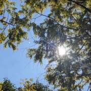 ヒメ日記 2025/11/26 11:00 投稿 太田　ゆり 昼下がりの情事