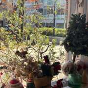 ヒメ日記 2025/11/30 10:14 投稿 太田　ゆり 昼下がりの情事