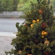 ヒメ日記 2025/12/03 11:50 投稿 太田　ゆり 昼下がりの情事