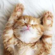 ヒメ日記 2025/12/07 11:58 投稿 太田　ゆり 昼下がりの情事