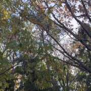 太田　ゆり こんにちは😃 昼下がりの情事