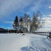 ヒメ日記 2026/02/05 11:49 投稿 太田　ゆり 昼下がりの情事