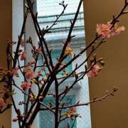 ヒメ日記 2026/02/12 11:41 投稿 太田　ゆり 昼下がりの情事