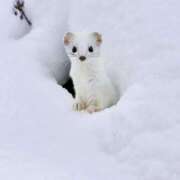 ヒメ日記 2026/02/13 15:07 投稿 太田　ゆり 昼下がりの情事