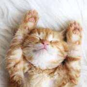 ヒメ日記 2026/02/15 12:17 投稿 太田　ゆり 昼下がりの情事