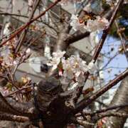 ヒメ日記 2026/02/16 11:38 投稿 太田　ゆり 昼下がりの情事