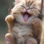 ヒメ日記 2026/02/17 11:38 投稿 太田　ゆり 昼下がりの情事