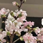 ヒメ日記 2026/03/01 11:19 投稿 太田　ゆり 昼下がりの情事