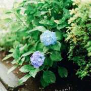 太田　ゆり こんにちは☔️ 昼下がりの情事