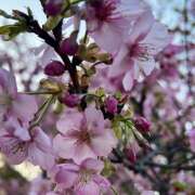 太田　ゆり こんにちは😃 昼下がりの情事