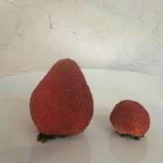 ヒメ日記 2026/03/06 15:23 投稿 太田　ゆり 昼下がりの情事