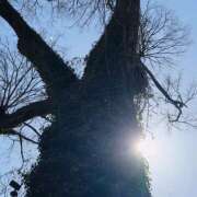 ヒメ日記 2026/03/09 11:53 投稿 太田　ゆり 昼下がりの情事