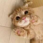 ヒメ日記 2026/03/10 12:00 投稿 太田　ゆり 昼下がりの情事