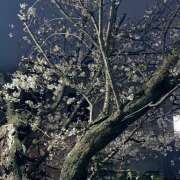 ヒメ日記 2026/03/27 13:43 投稿 太田　ゆり 昼下がりの情事