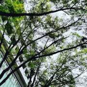 ヒメ日記 2026/05/20 16:05 投稿 太田　ゆり 昼下がりの情事