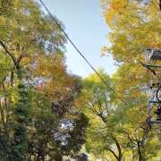ヒメ日記 2026/10/14 12:16 投稿 太田　ゆり 昼下がりの情事