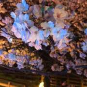 ヒメ日記 2025/04/05 09:17 投稿 えりか リッチドールフェミニン