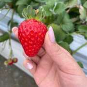 ヒメ日記 2025/04/24 20:57 投稿 えりか リッチドールフェミニン