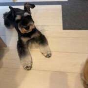 えりか 急遽！ リッチドールフェミニン