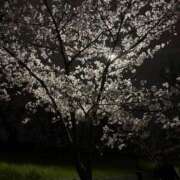 ヒメ日記 2026/04/05 17:07 投稿 えりか リッチドールフェミニン