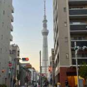 さくら スカイツリー🗼 深海魚