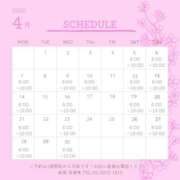 ヒメ日記 2025/03/26 06:00 投稿 さくら 深海魚