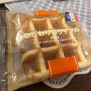 ヒメ日記 2025/04/06 06:00 投稿 さくら 深海魚