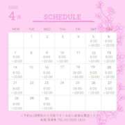 ヒメ日記 2025/04/18 12:00 投稿 さくら 深海魚