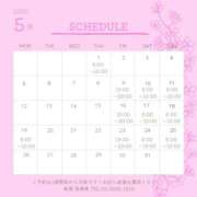 ヒメ日記 2025/05/01 06:00 投稿 さくら 深海魚