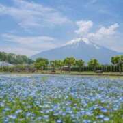 ヒメ日記 2025/05/26 06:00 投稿 さくら 深海魚