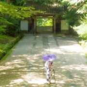 ヒメ日記 2025/07/21 06:00 投稿 さくら 深海魚