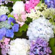 ヒメ日記 2025/07/28 06:00 投稿 さくら 深海魚