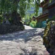 ヒメ日記 2025/09/21 20:00 投稿 さくら 深海魚