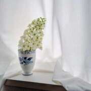 ヒメ日記 2025/10/03 12:00 投稿 さくら 深海魚