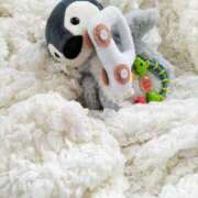 ヒメ日記 2025/11/04 21:00 投稿 さくら 深海魚